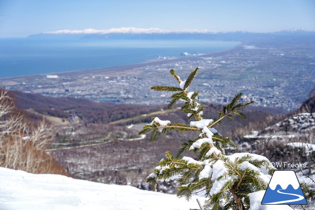 サッポロテイネ　真っ白な雪、澄んだ青空。ゴールデンウィーク２日目は、旭岳～羊蹄山まで見渡せる絶好の春スキー＆スノーボード日和に☆